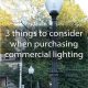 Energy efficient Acorn light fixturs